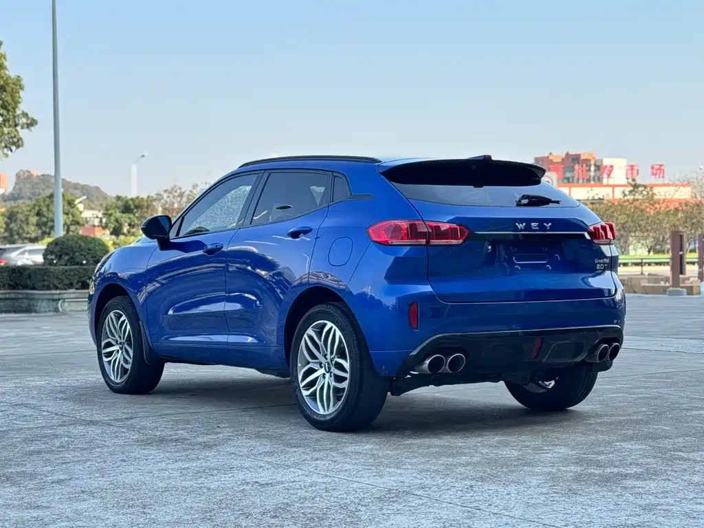 WEI PAI WEI BRAND VV5