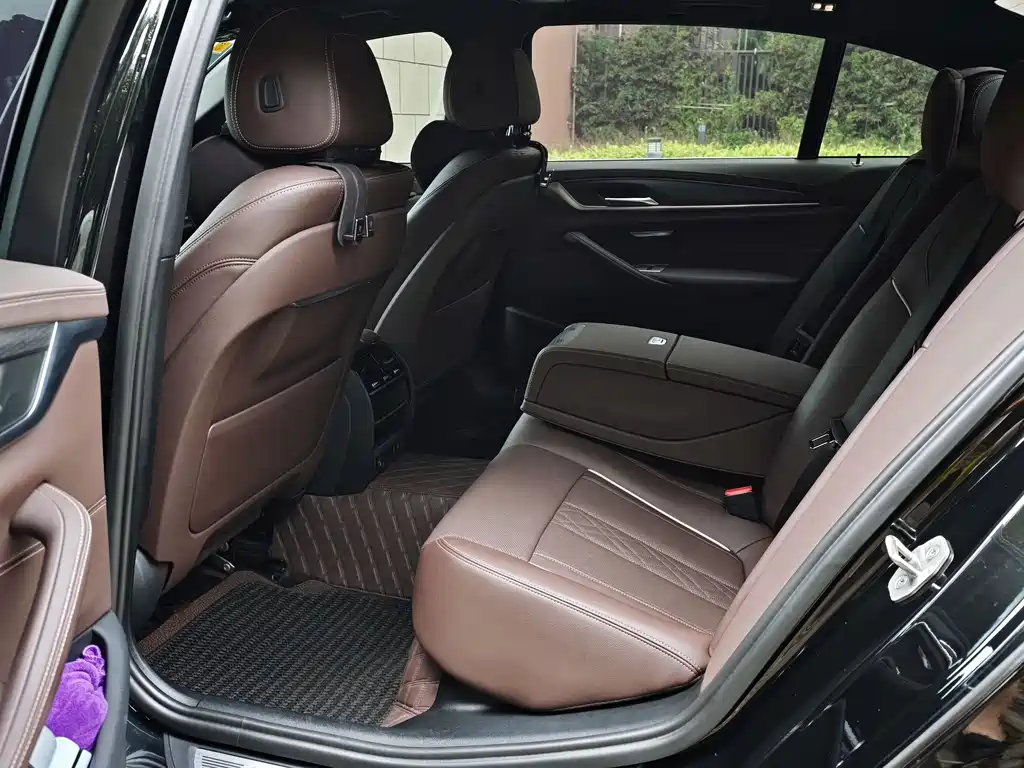 BMW 5 Series 5 2021 530Li Lead Luxury