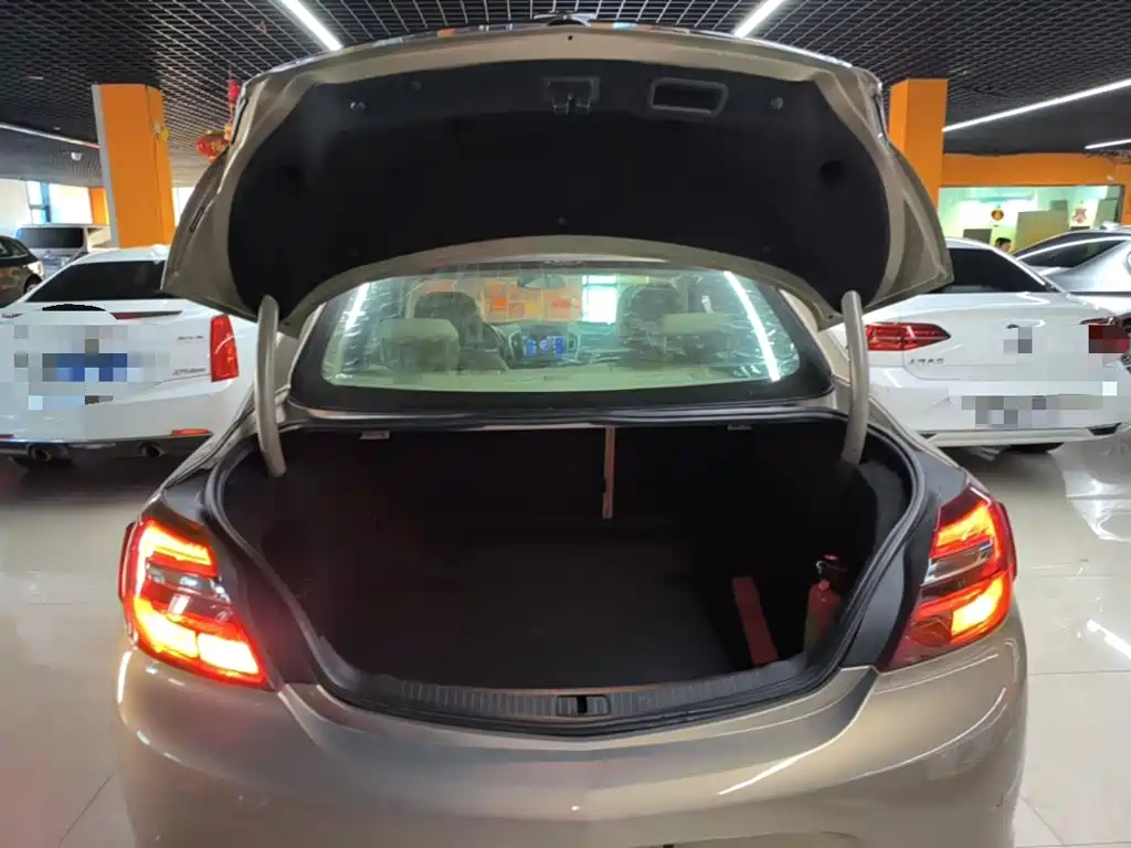 Buick Regal — миниатюра 19