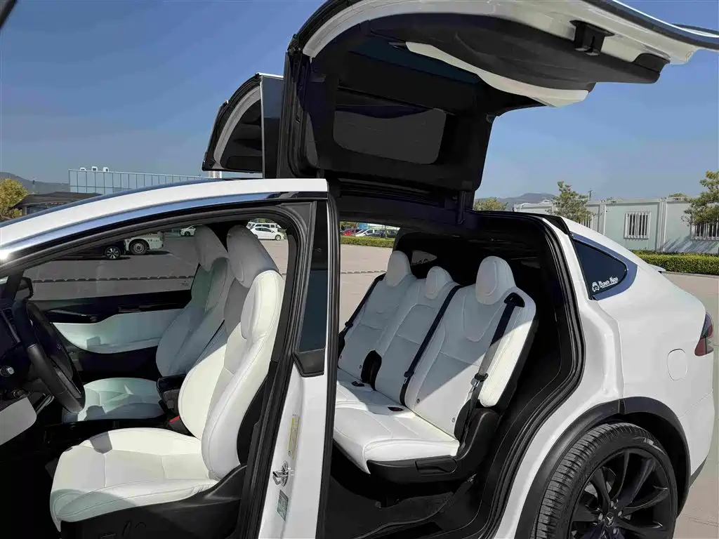 Tesla Model X — миниатюра 12