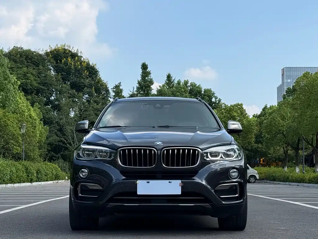 BMW X6 — миниатюра 2