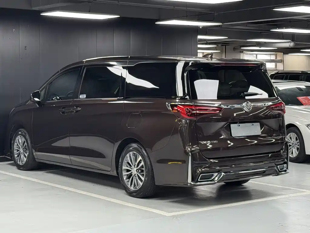 Buick GL8 — миниатюра 19