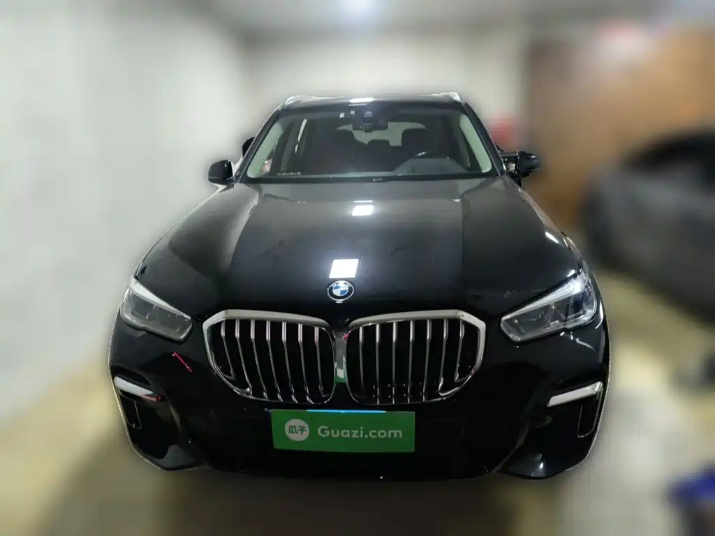 BMW X5 — миниатюра 2