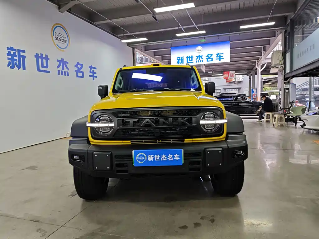 Tank Tank 300L New Energy — миниатюра 2