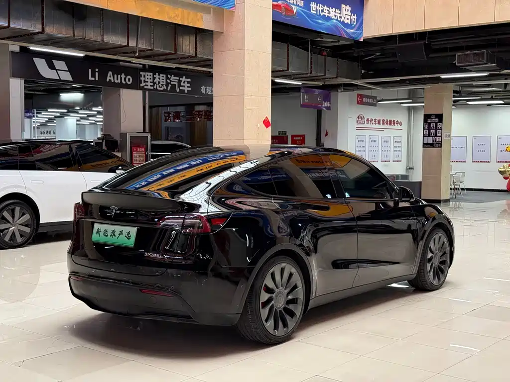 Tesla Model Y — миниатюра 6