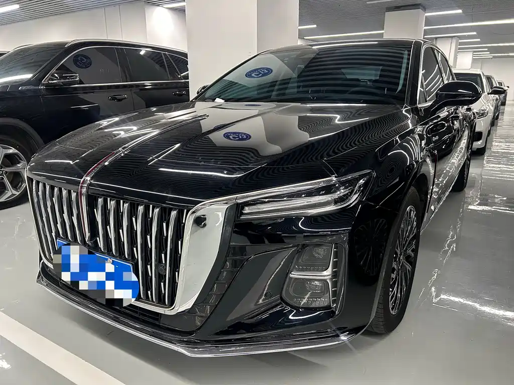 Hongqi Hongqi H5 2024