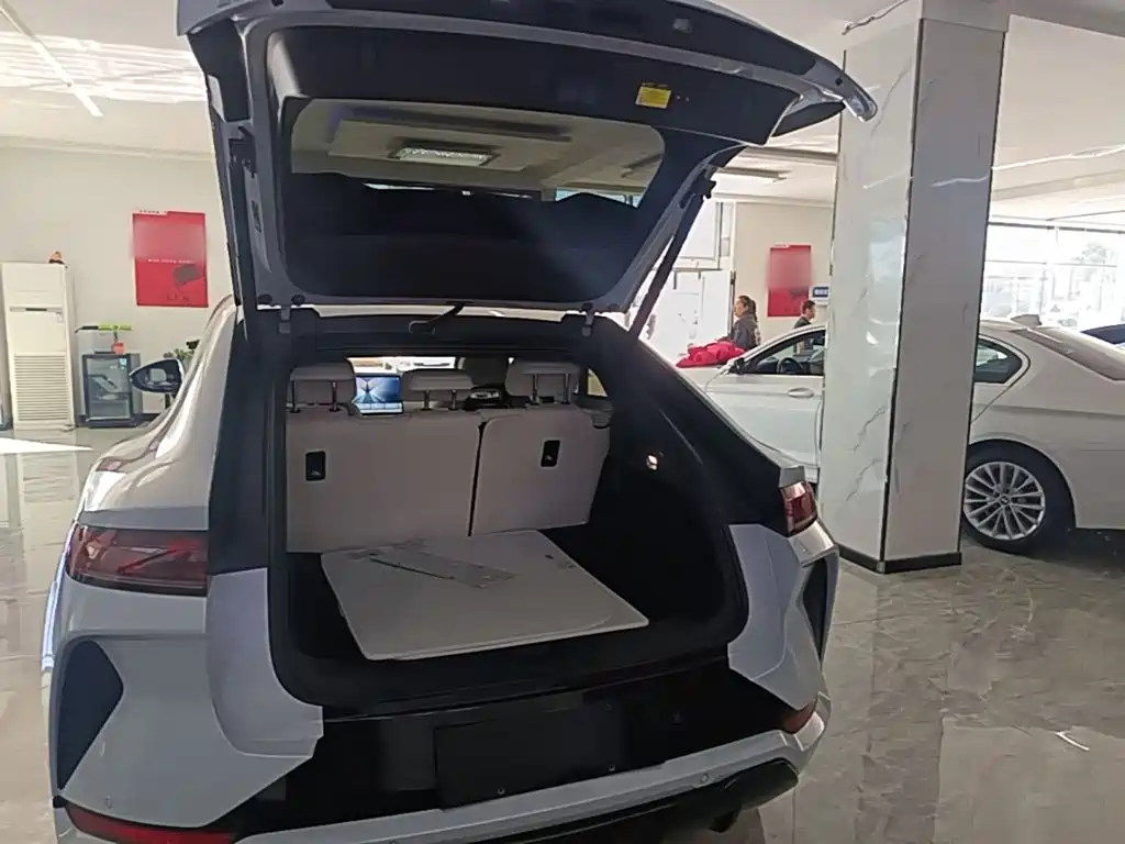 BYD L EV — миниатюра 19