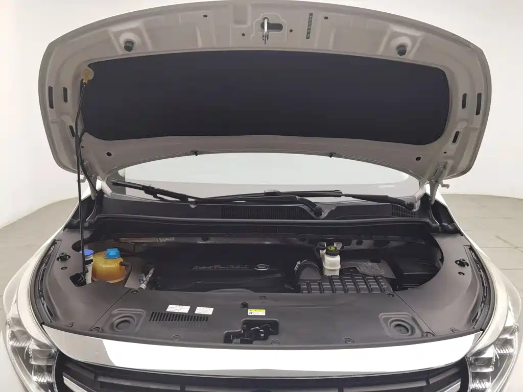 GAC Motor Trumpchi M8 — миниатюра 6