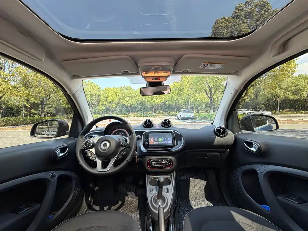 smart Smart Fortwo — миниатюра 14