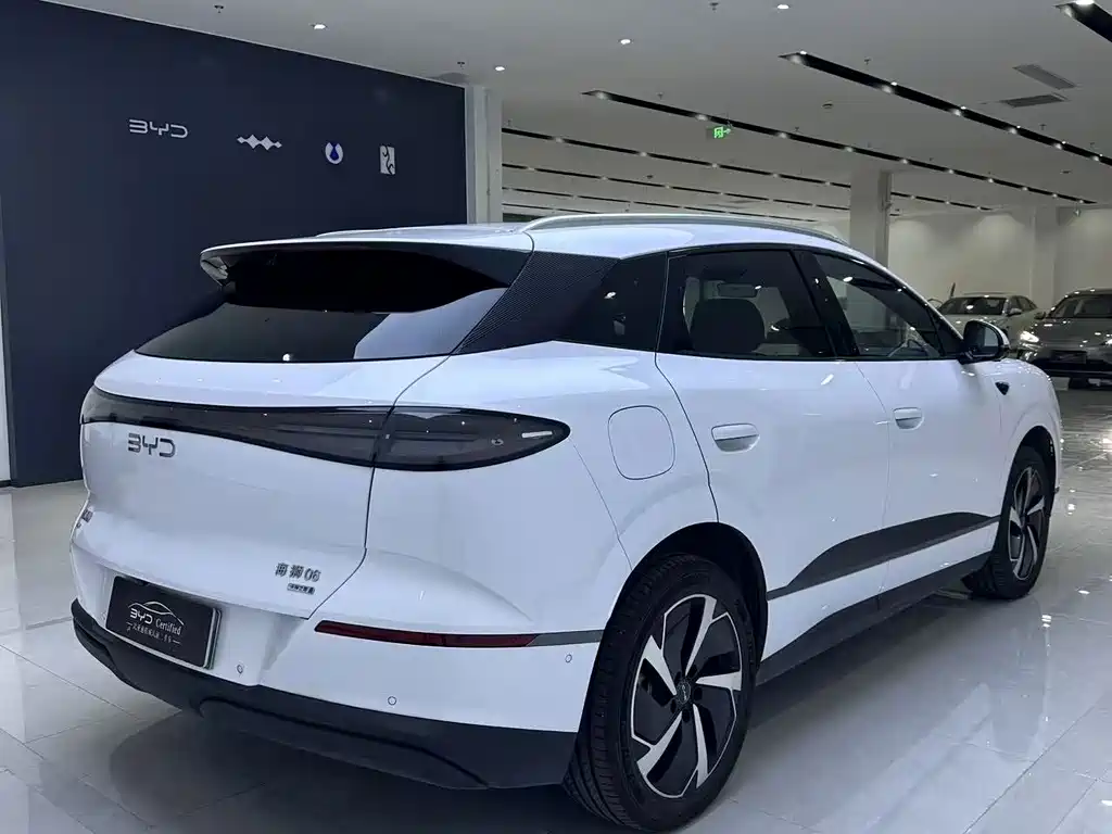 BYD Sealion 06 — миниатюра 12