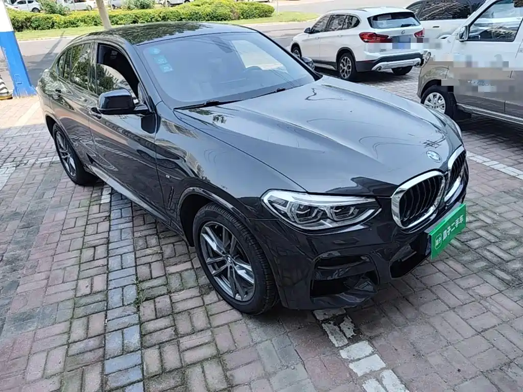 BMW X4 — миниатюра 4