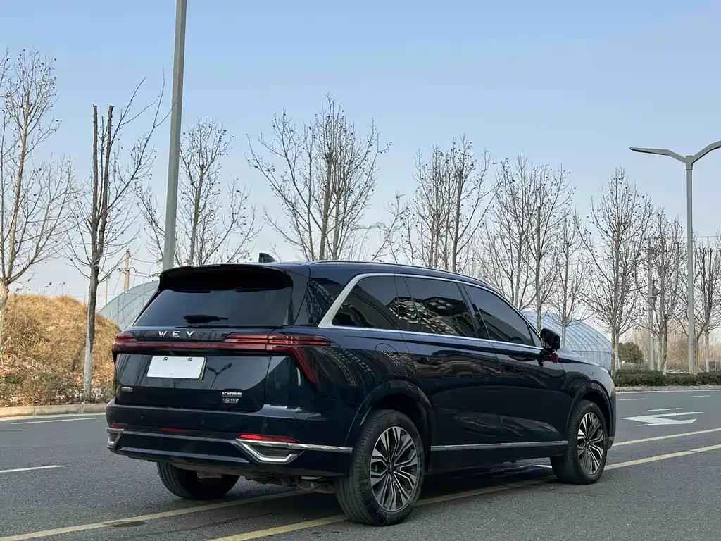 WEI PAI WEI BRAND BLUE MOUNTAIN