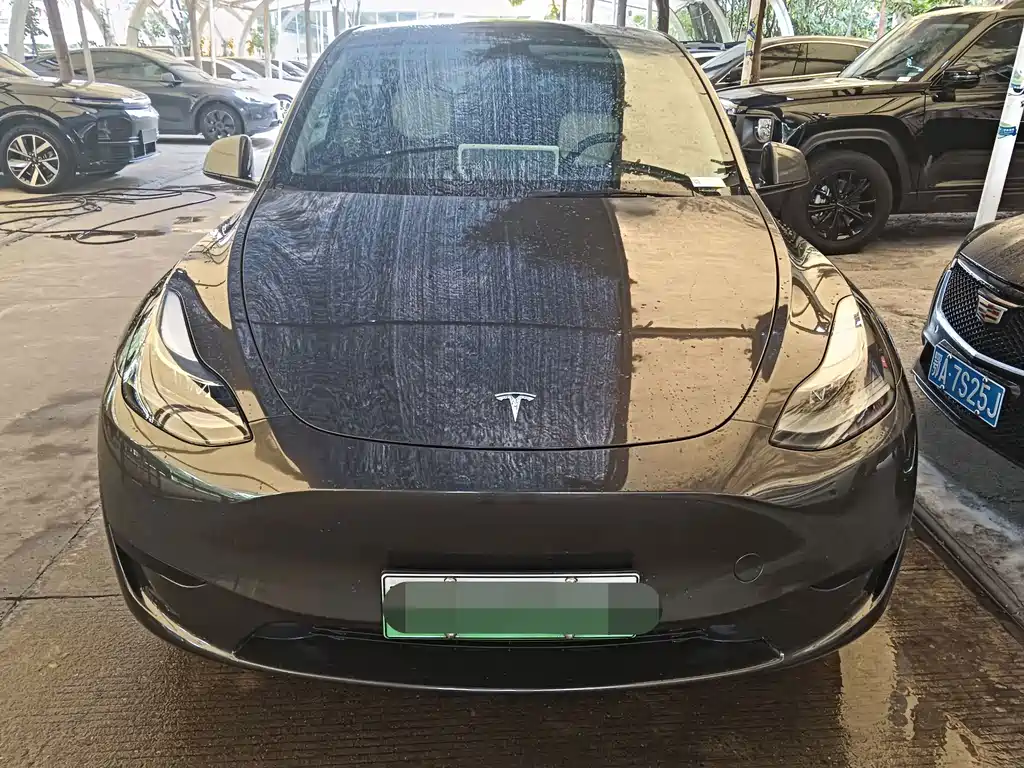 Tesla Model Y — фото 1