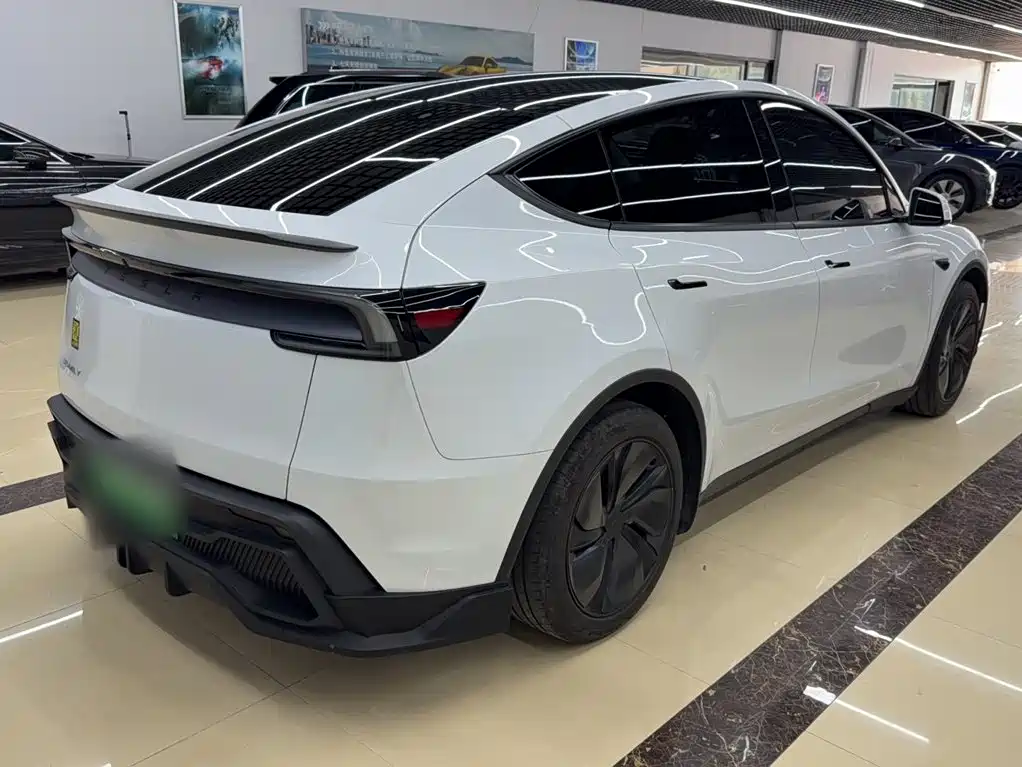 Tesla Model Y — миниатюра 14