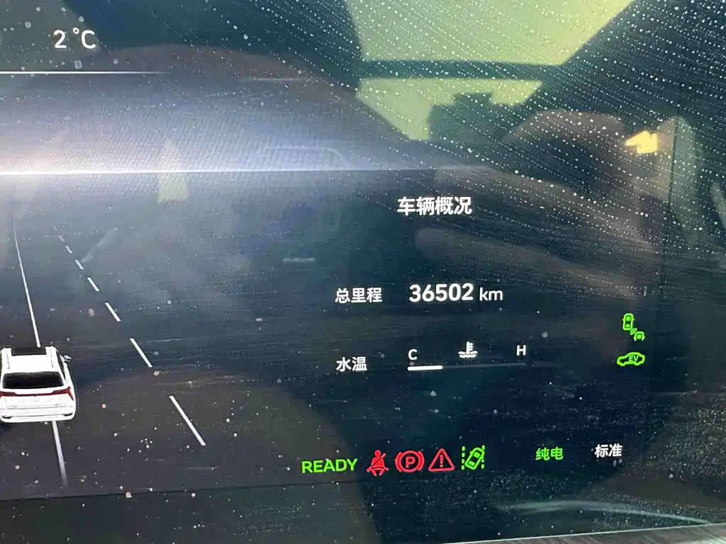 WEI PAI WEI BRAND BLUE MOUNTAIN