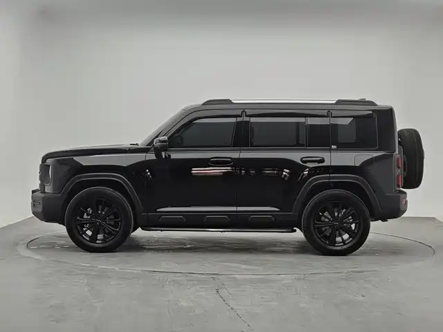 Haval Menglong New Energy — миниатюра 3
