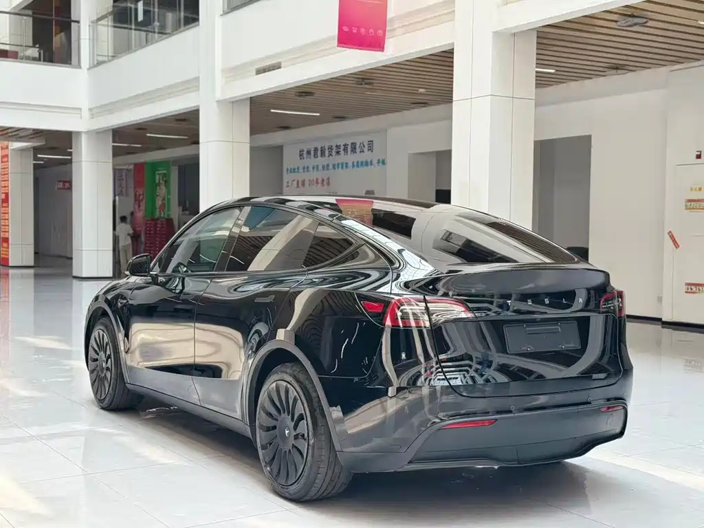 Tesla Model Y — миниатюра 7