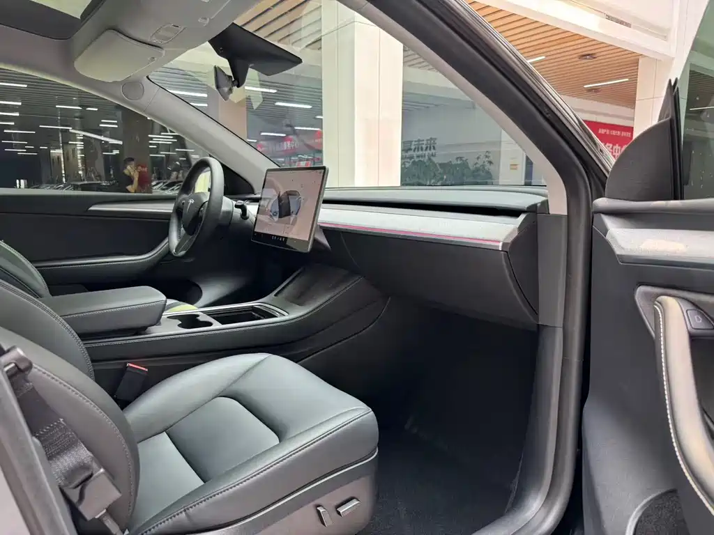 Tesla Model Y — миниатюра 16