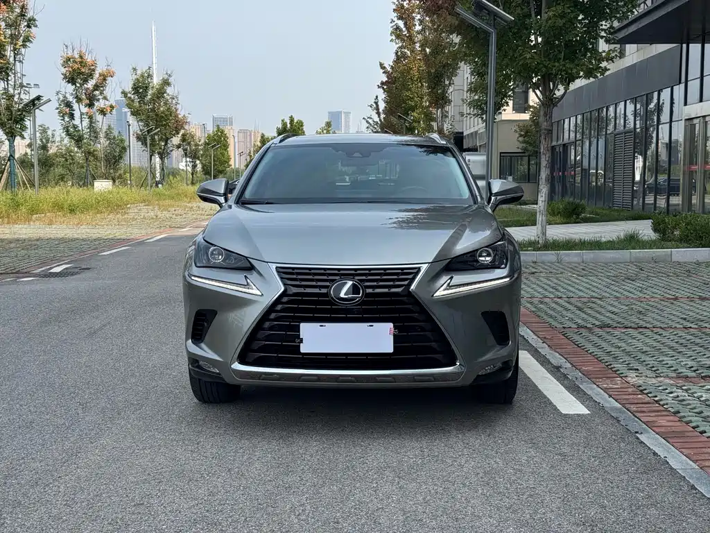 Lexus NX — миниатюра 2
