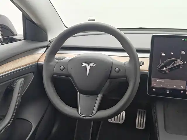 Tesla Model 3 — миниатюра 8