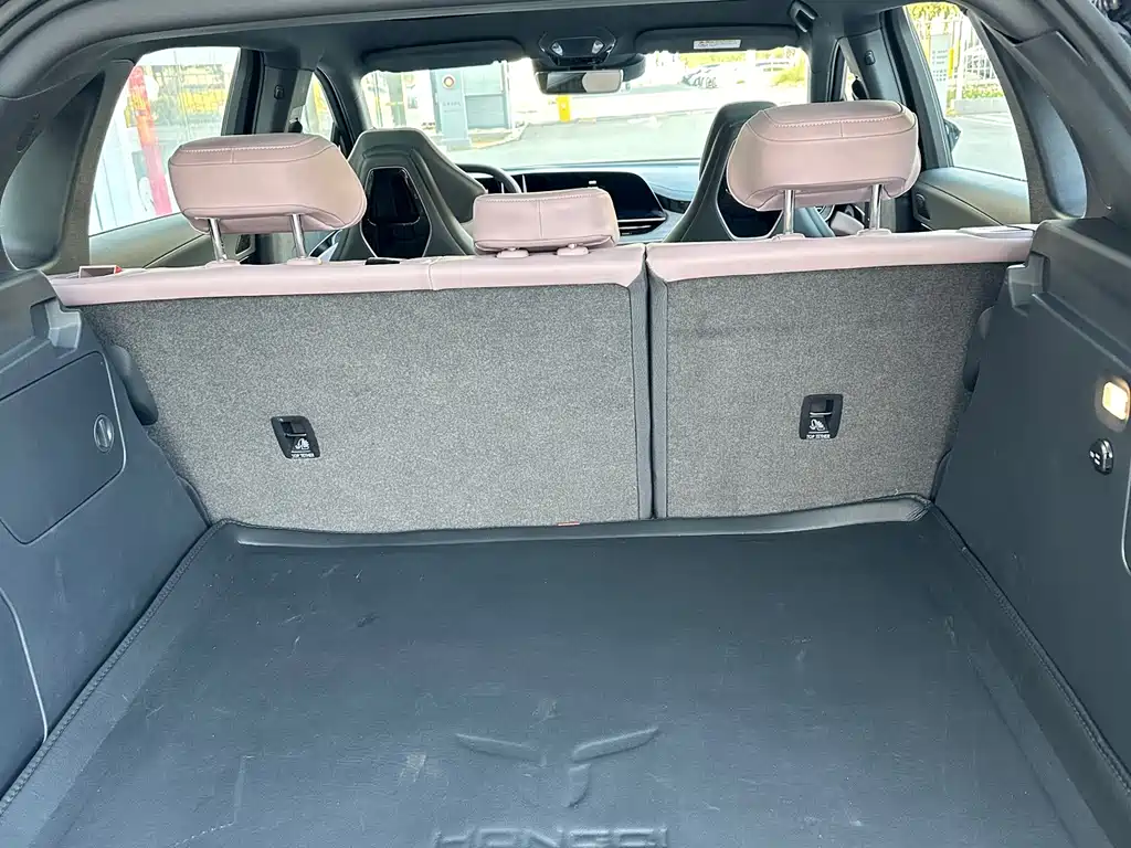 Hongqi HONGQI TIANGONG 08