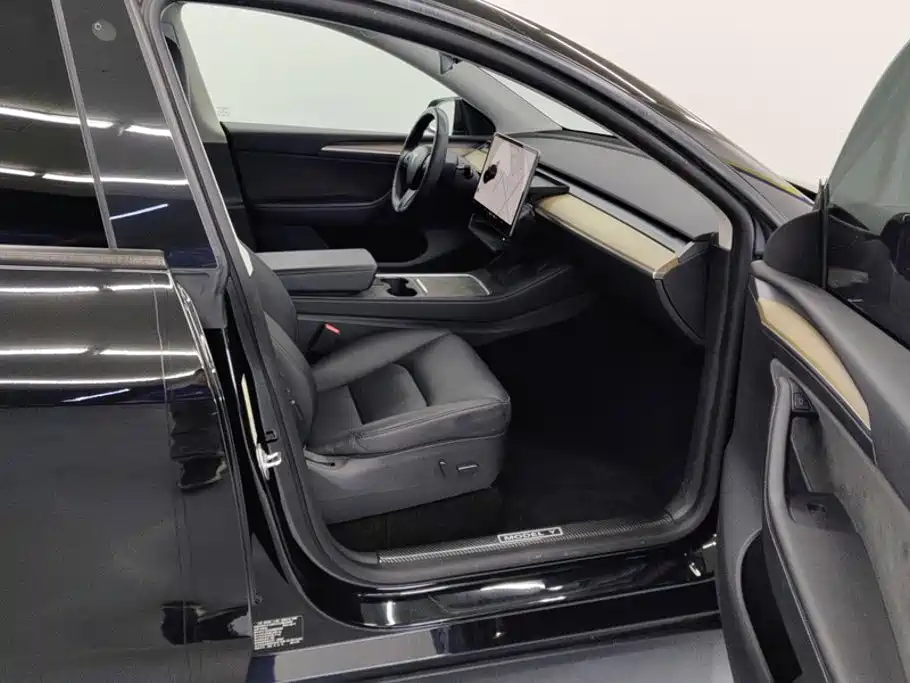 Tesla Model Y — миниатюра 8