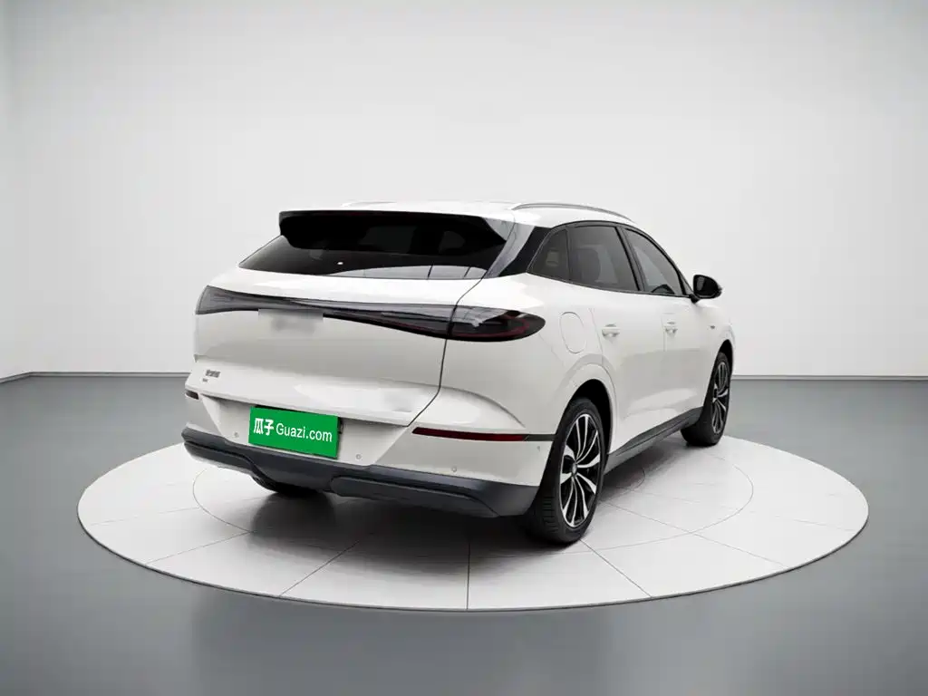 BYD Sealion 06 — миниатюра 6
