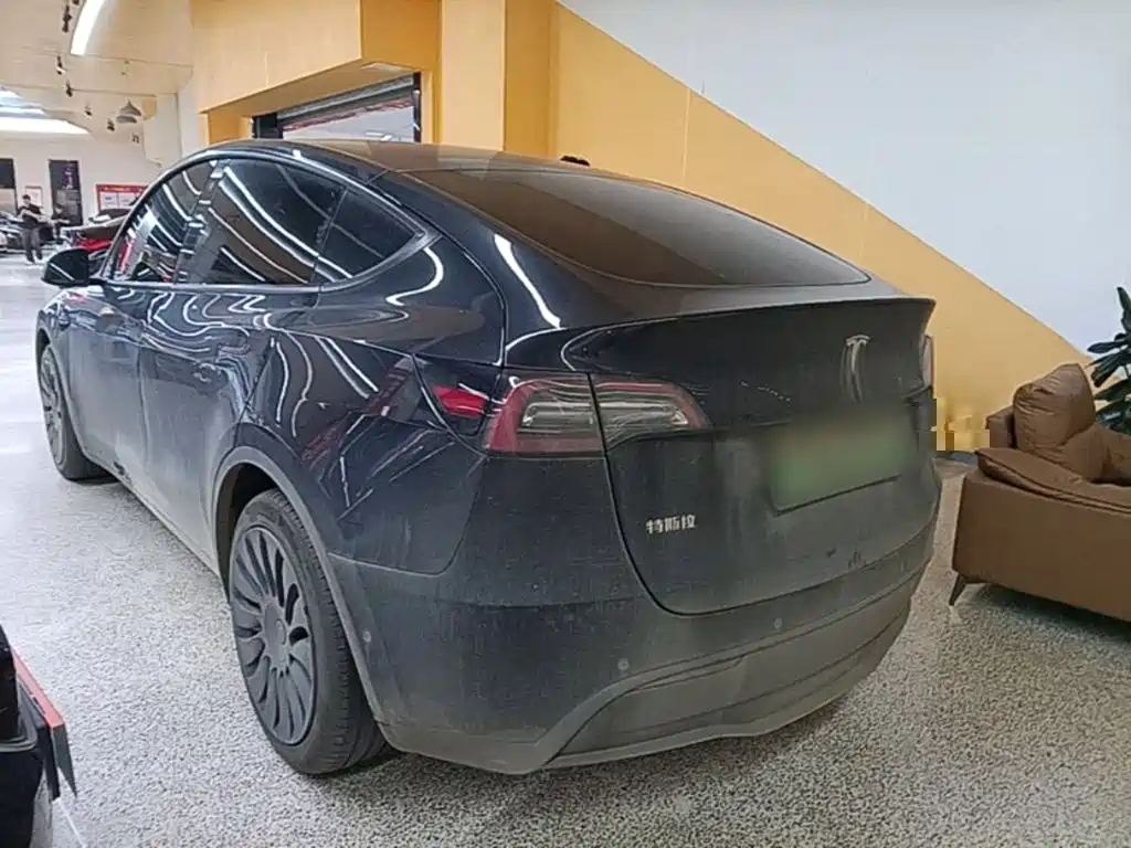 Tesla Model Y — миниатюра 5