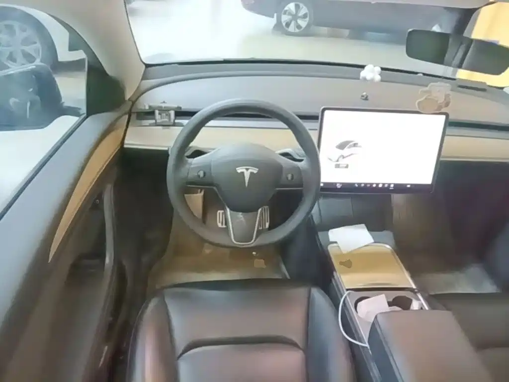 Tesla Model Y — миниатюра 11