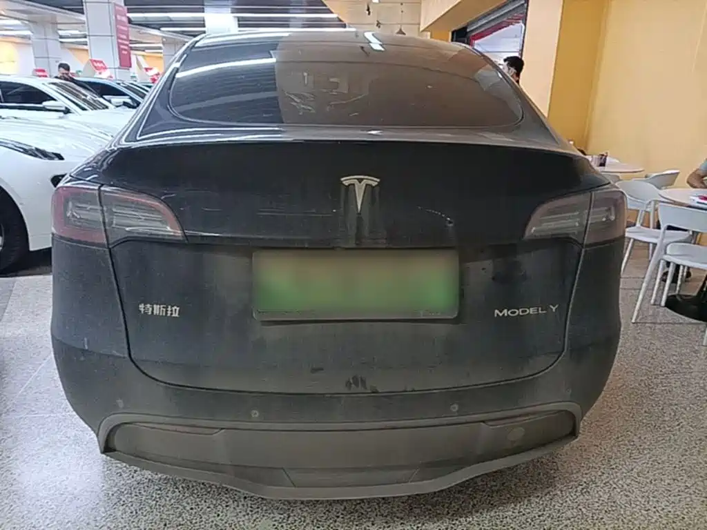 Tesla Model Y — миниатюра 6