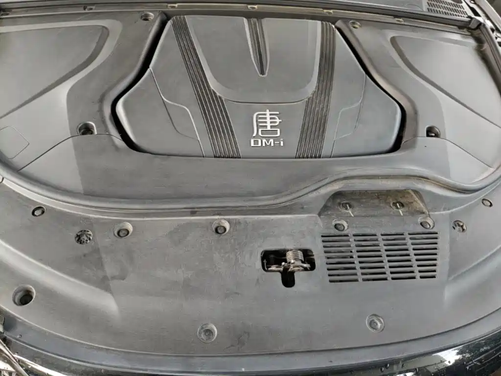 BYD Tang New Energy — миниатюра 25