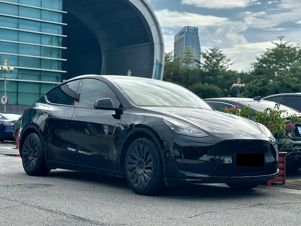 Tesla Model Y — миниатюра 4