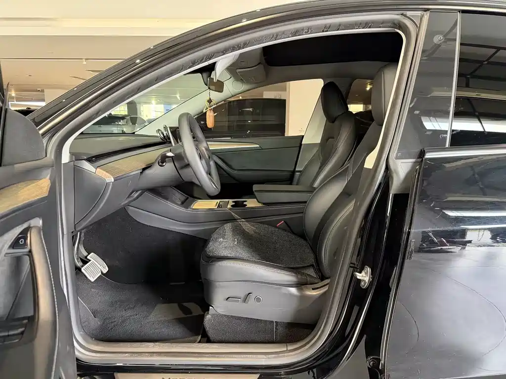 Tesla Model Y — миниатюра 4