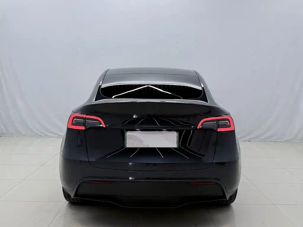 Tesla Model Y — миниатюра 13