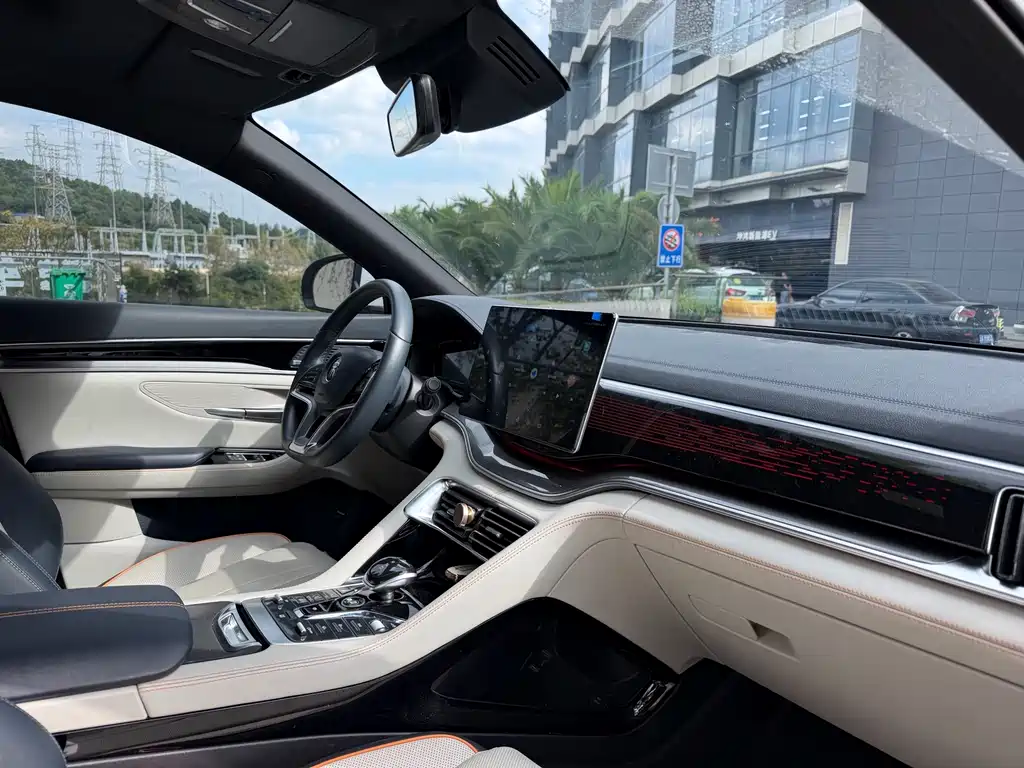 BYD PLUS New Energy — миниатюра 10