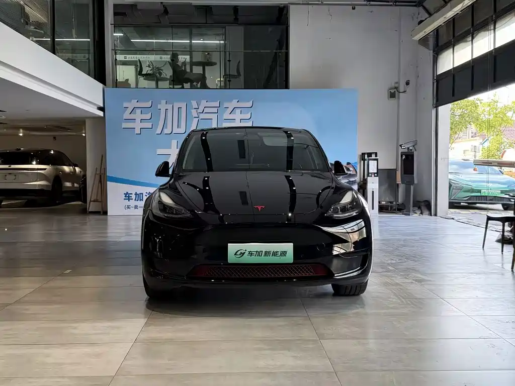 Tesla Model Y — миниатюра 2