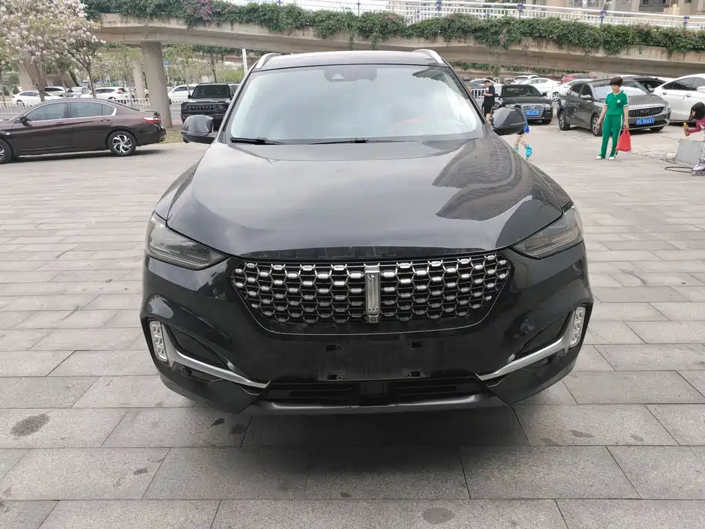 Wey Wey VV6 2020