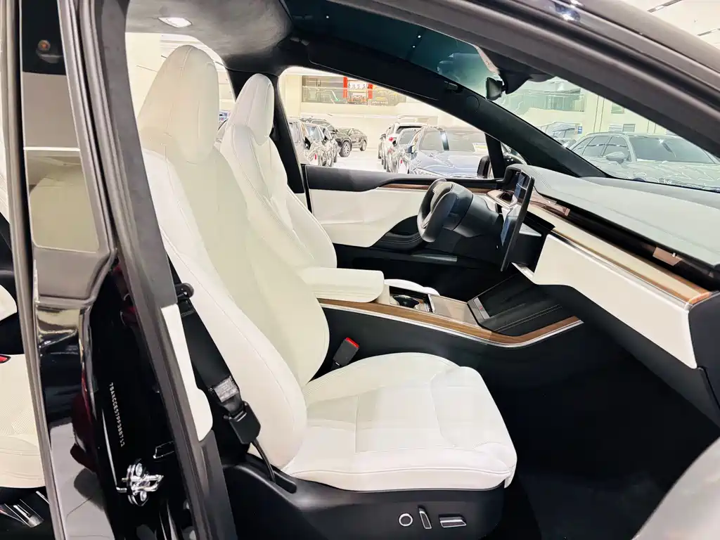 Tesla Model X — миниатюра 5