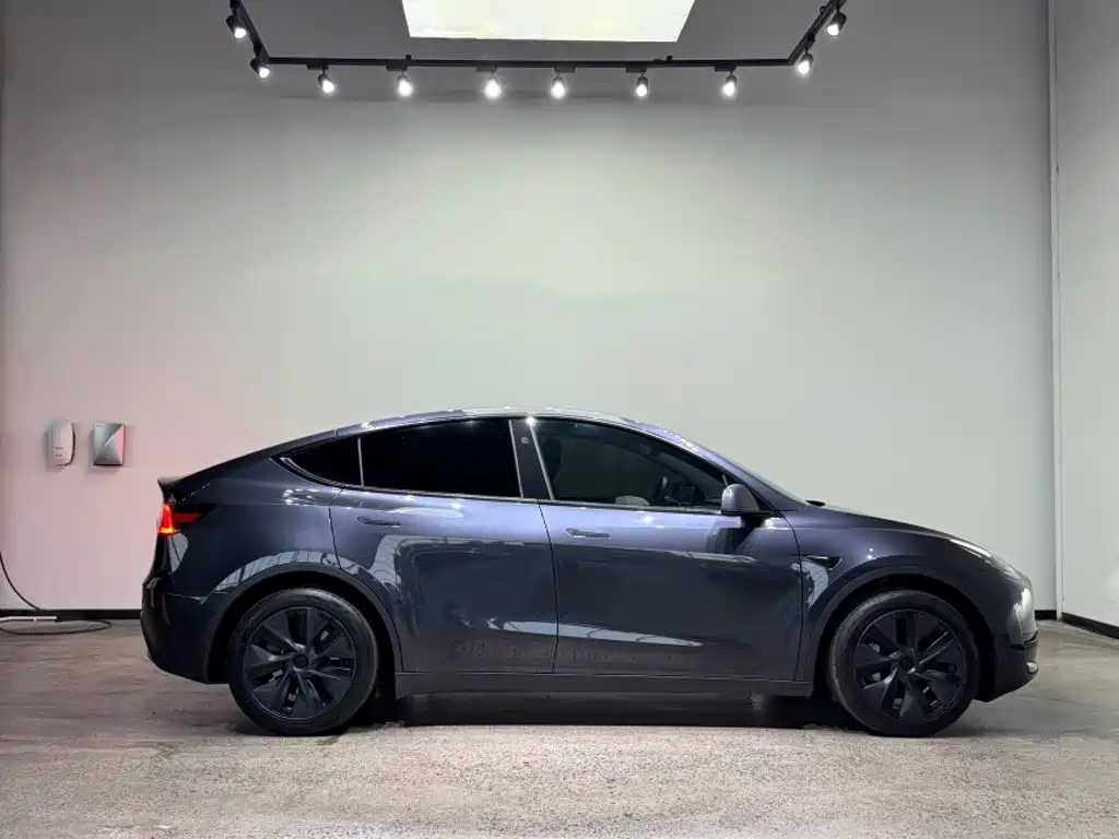 Tesla Model Y — миниатюра 7