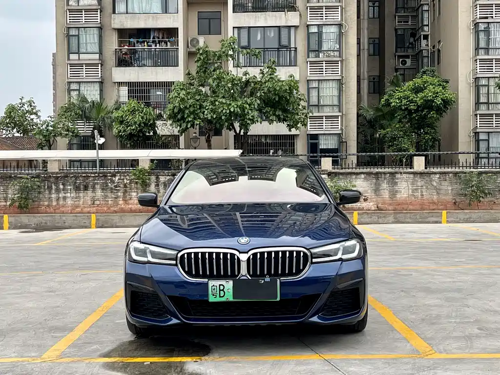 BMW 5 SERIES NEW ENERGY