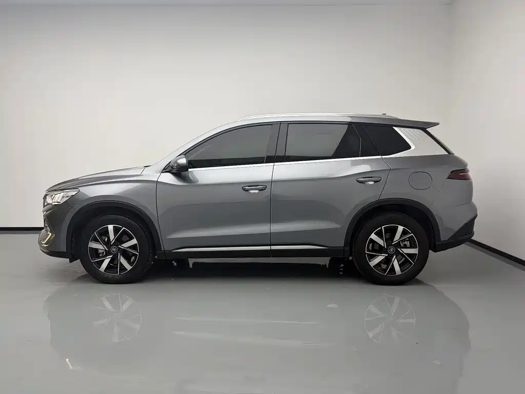 BYD Pro New Energy — миниатюра 8