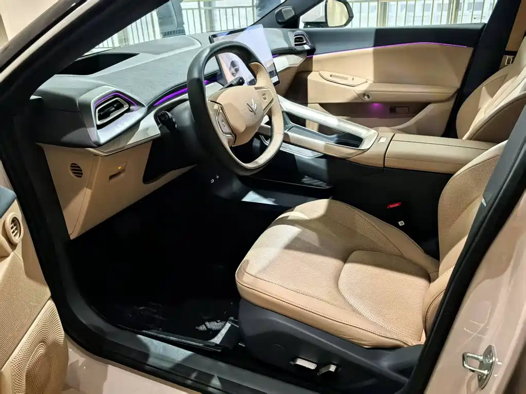 ARCFOX EXTREME FOX POLAR FOX ALPHA S5