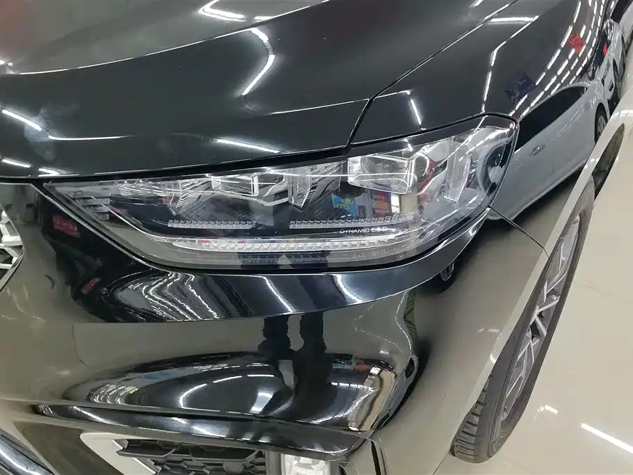 WEI PAI WEI BRAND VV5