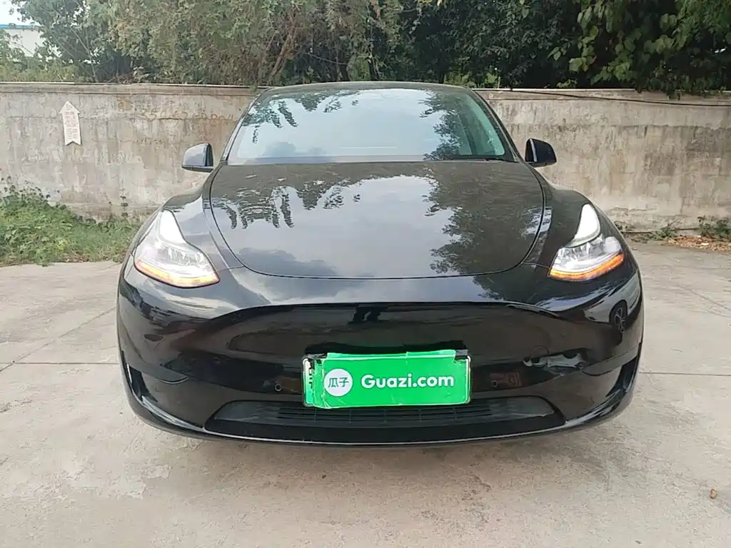 Tesla Model Y — миниатюра 3