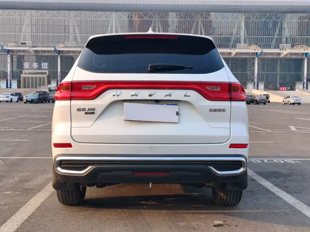 HAVAL M6