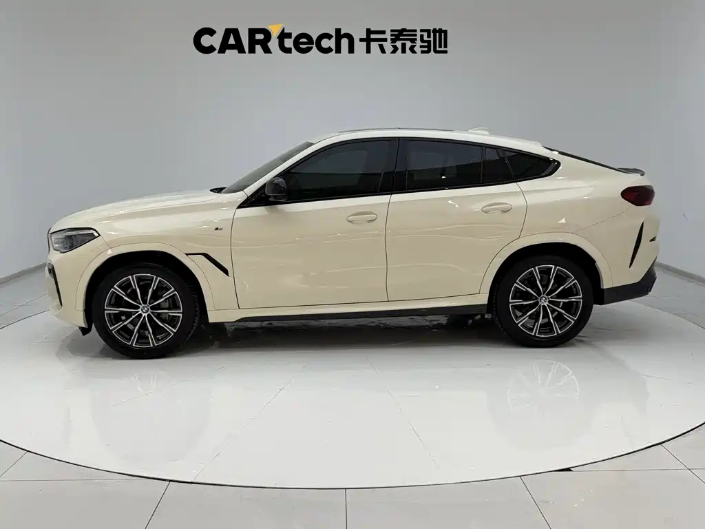 BMW X6 — миниатюра 7