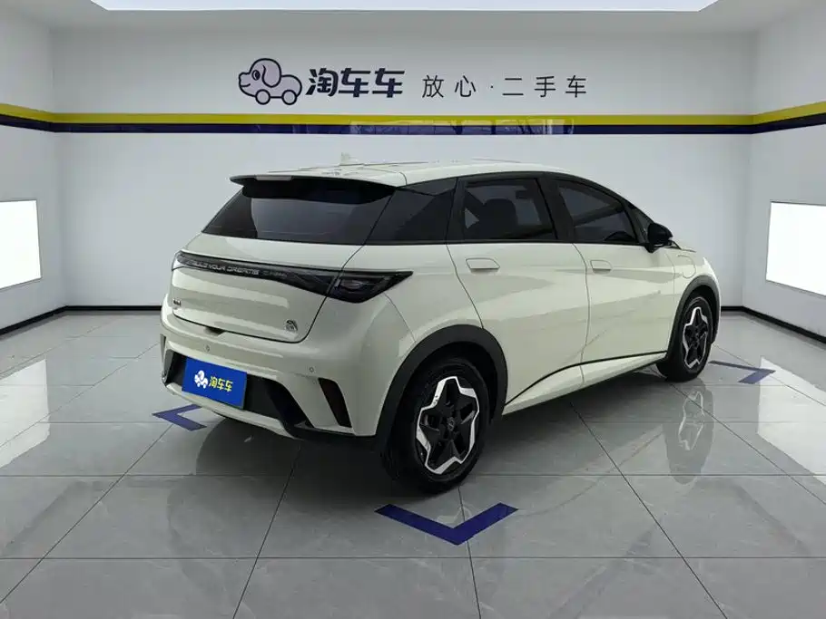 BYD Dolphin — миниатюра 3