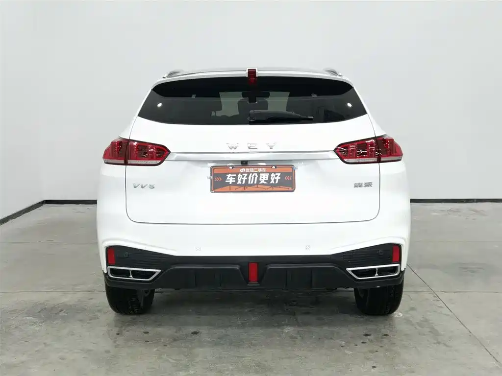 WEI PAI WEI BRAND VV5