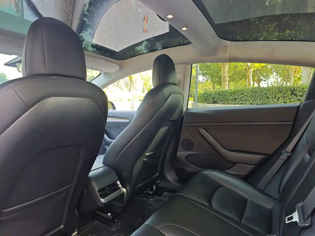 Tesla Model 3 — миниатюра 5