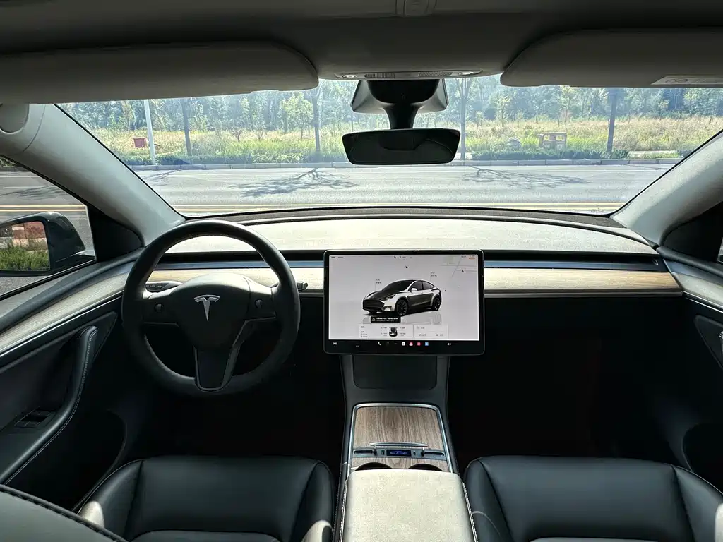 Tesla Model Y — миниатюра 16
